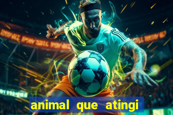 animal que atingi 230 decibeis